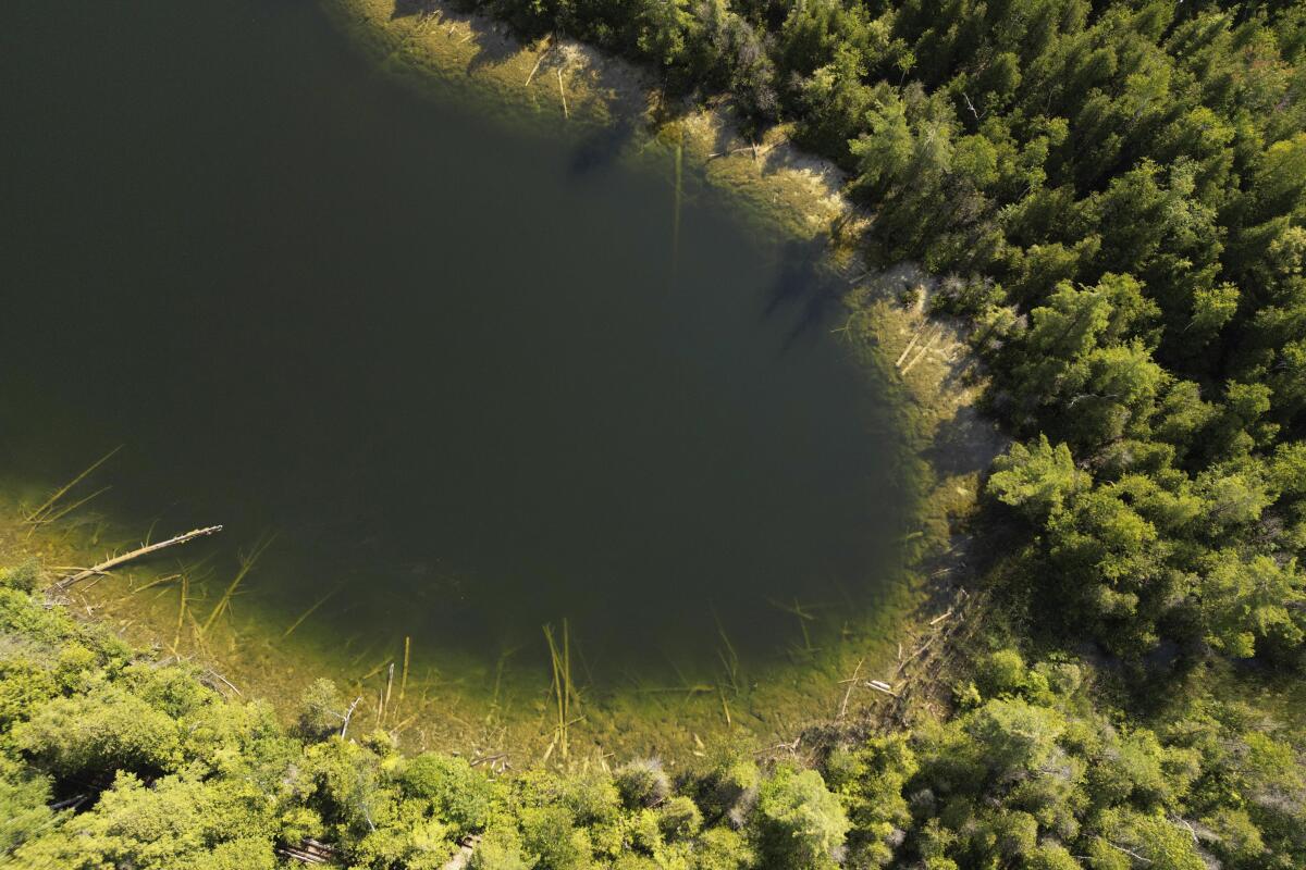 Árboles rodean el lago Crawford, en Milton, Ontario, el lunes 10 de julio de 2023.