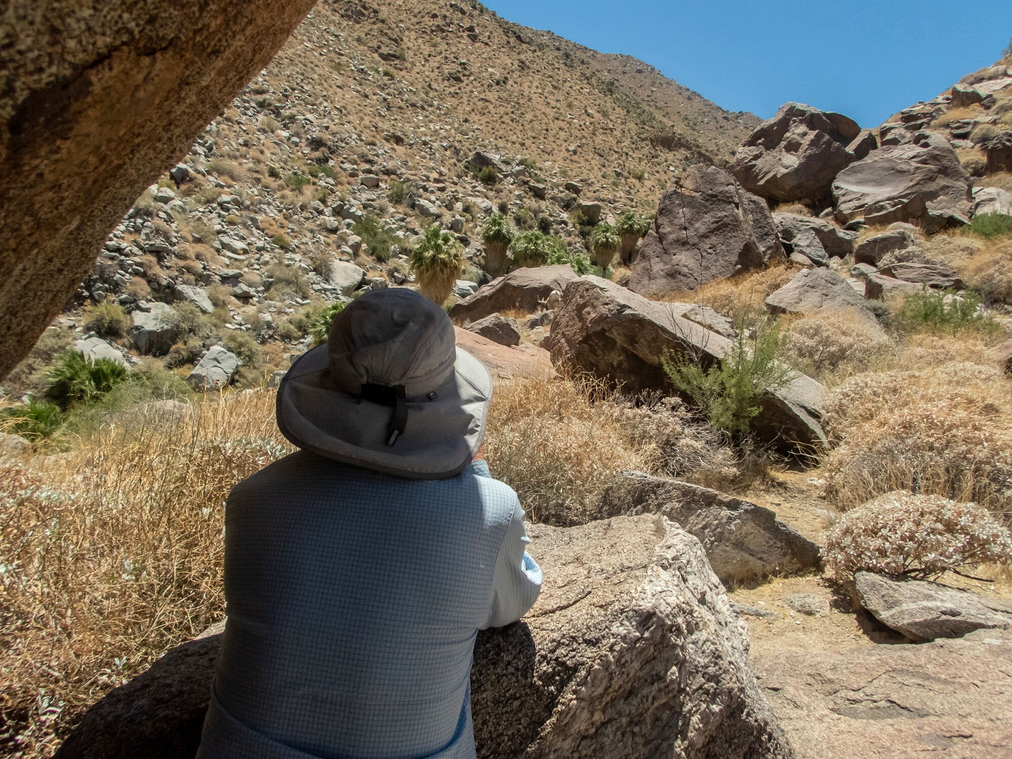 Phillip Roullard sits in the shade of a rock looking at the desert landscape of rocks and scrub.