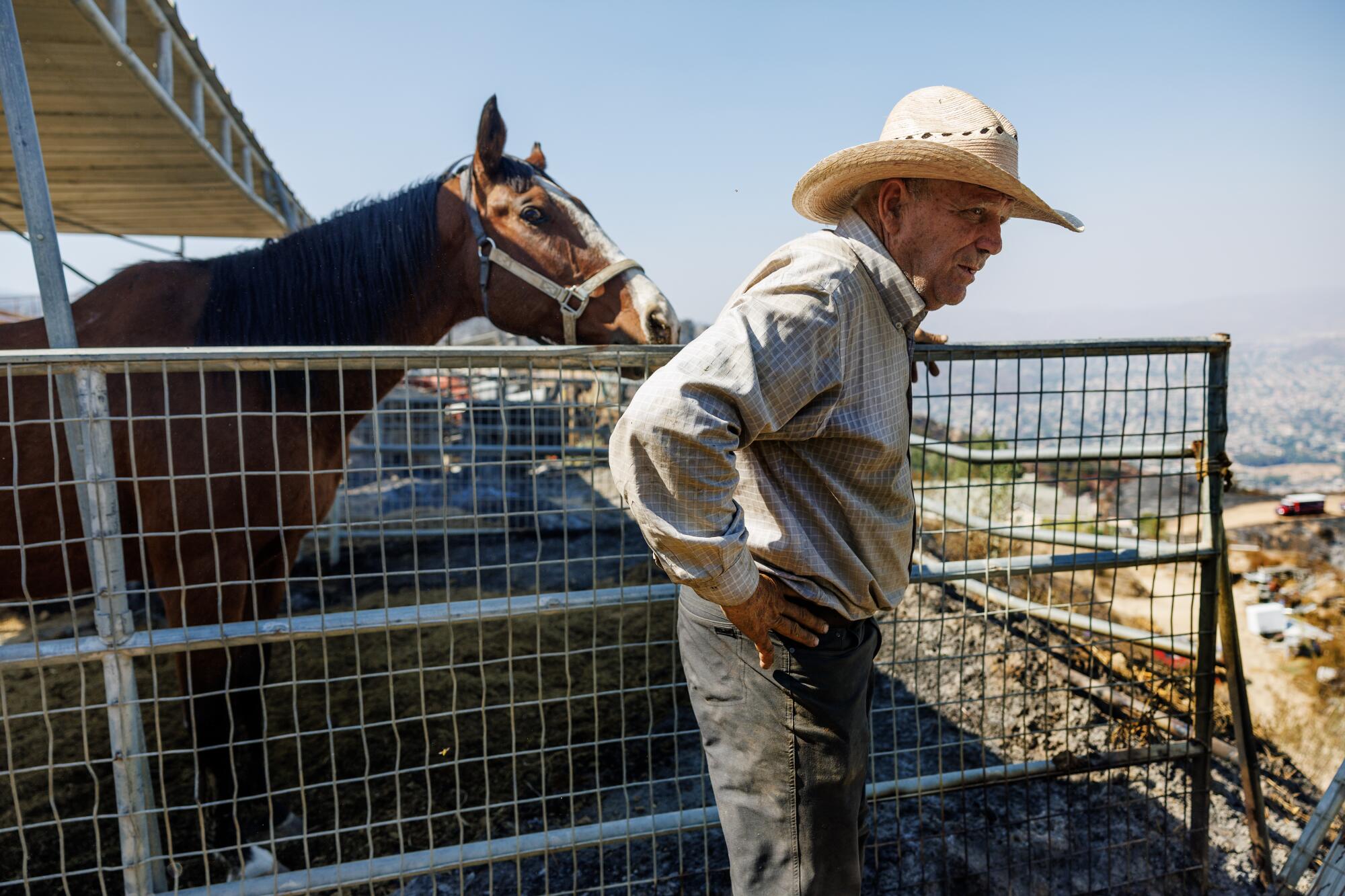 Firefighters extinguish a flare up from the Airport fire at a horse corral on Robert Lucas's property.