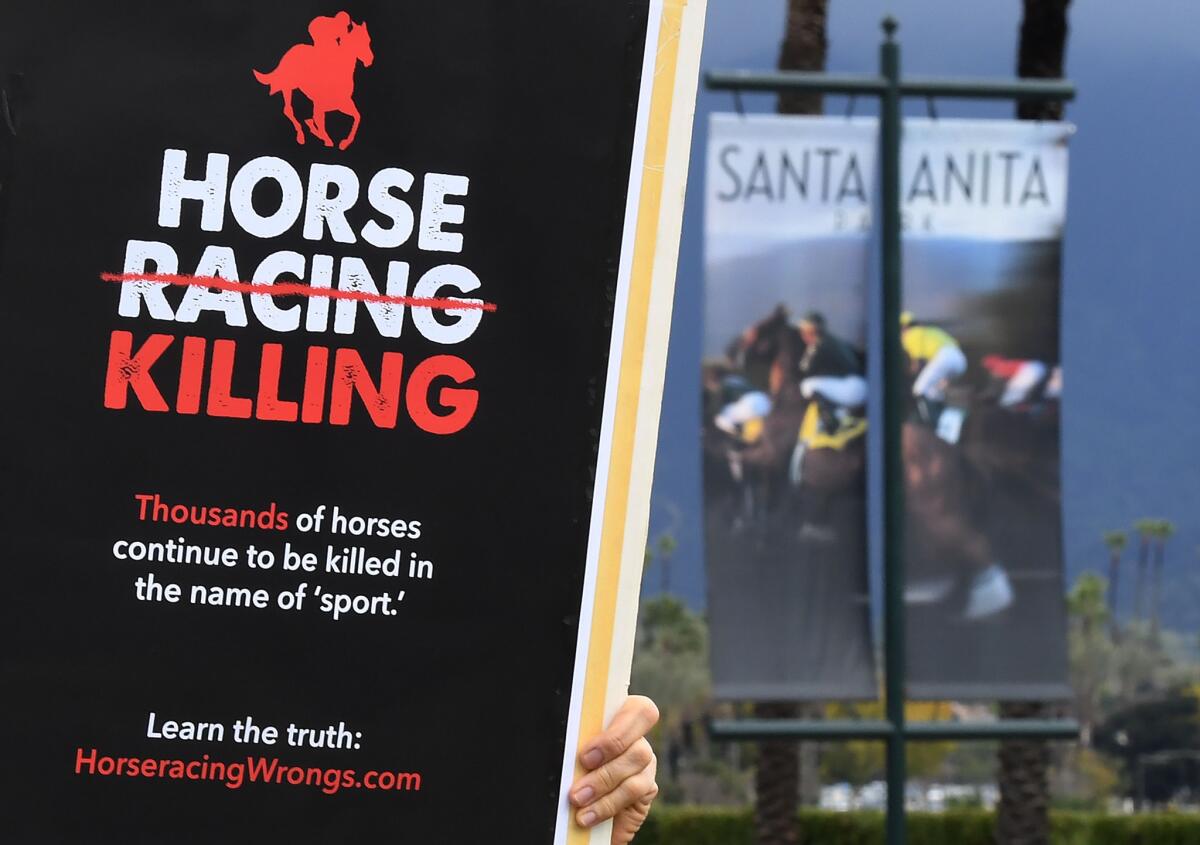 Animal-rights advocates protest the deaths of race horses at Santa Anita Park on March 3.