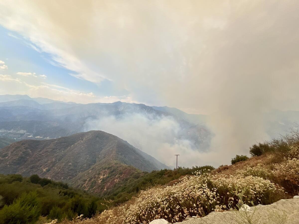 The Bridge fire burns Sunday. The blaze started in the San Gabriel Canyon and quickly expanded.