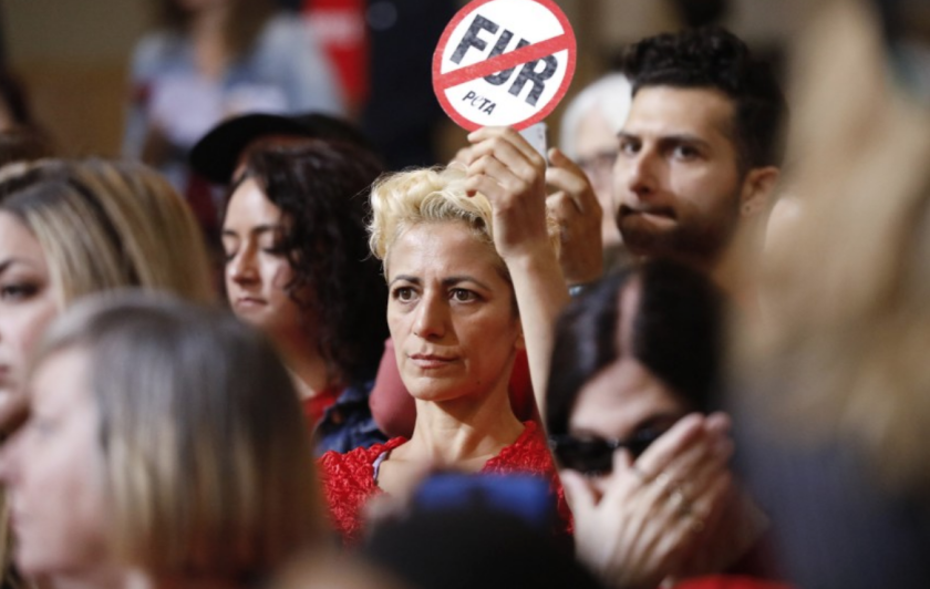 Macy’s no venderá más productos fabricados con piel animal a partir del 2021 Screen Shot 2019-08-28 at 7.00.15 PM.png