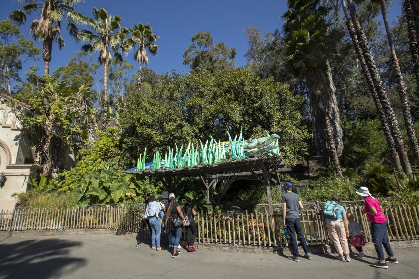 LOS ANGELES, CA - OCTOBER 15, 2021:Overall, shows an area of the Los Angeles Zoo, background, slated for redevelopment. The 20 acre expansion of the zoo would include a new hilltop Yosemite lodge-style California Visitor Center with sweeping views of a 25,000 square foot vineyard. The zoo's new "20-year Vision Plan" would give the 55 year old facility a competitive edge in a market dominated by powerhouse tourist attractions such as Disneyland, Magic Mountain, Universal City, and Seaworld when L.A. hosts the 2028 summer Olympics.