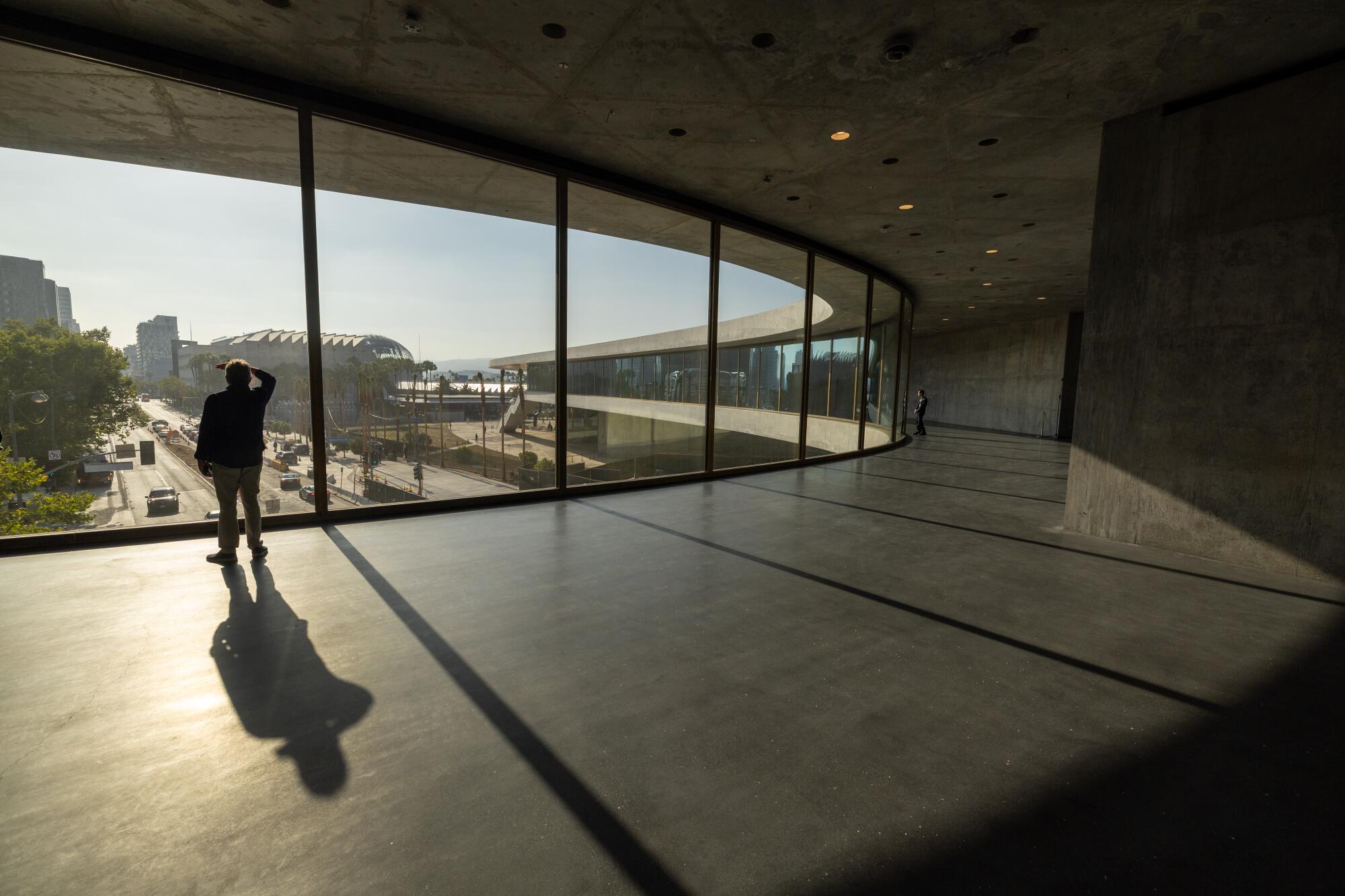 At LACMA, new David Geffen Galleries are appealing and absurd - Los Angeles Times