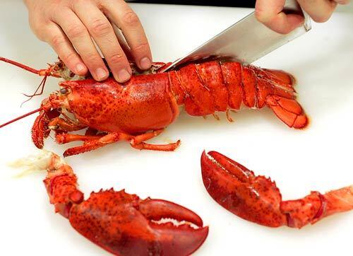 To cut the lobster in half lengthwise, insert the tip of a sharp knife between the eyes and cut straight down.