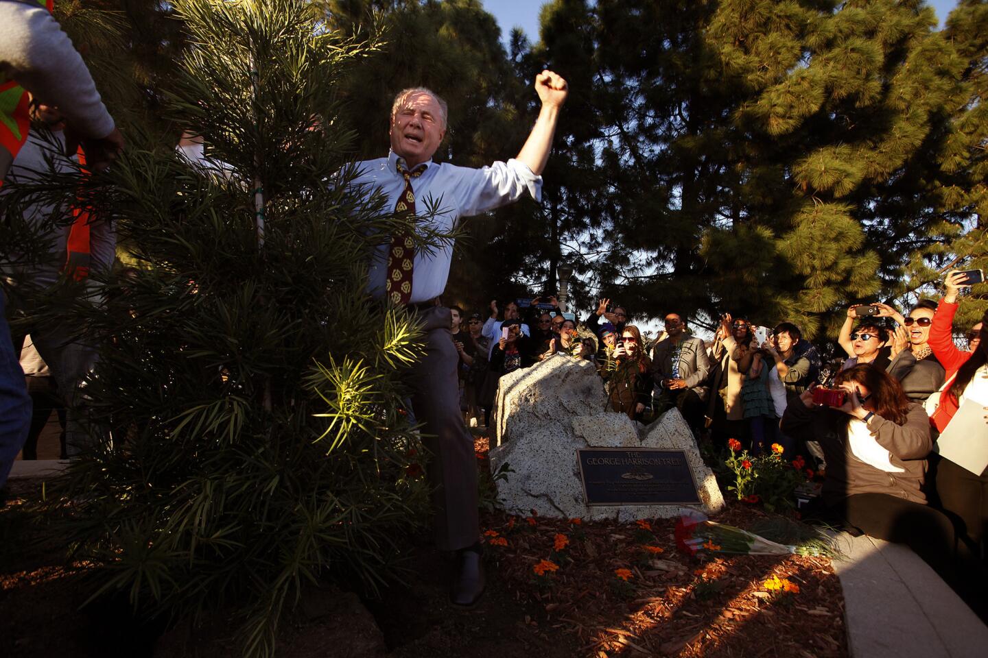 Councilman Tom LaBonge celebrates after helping replant the George Harrison Tree.