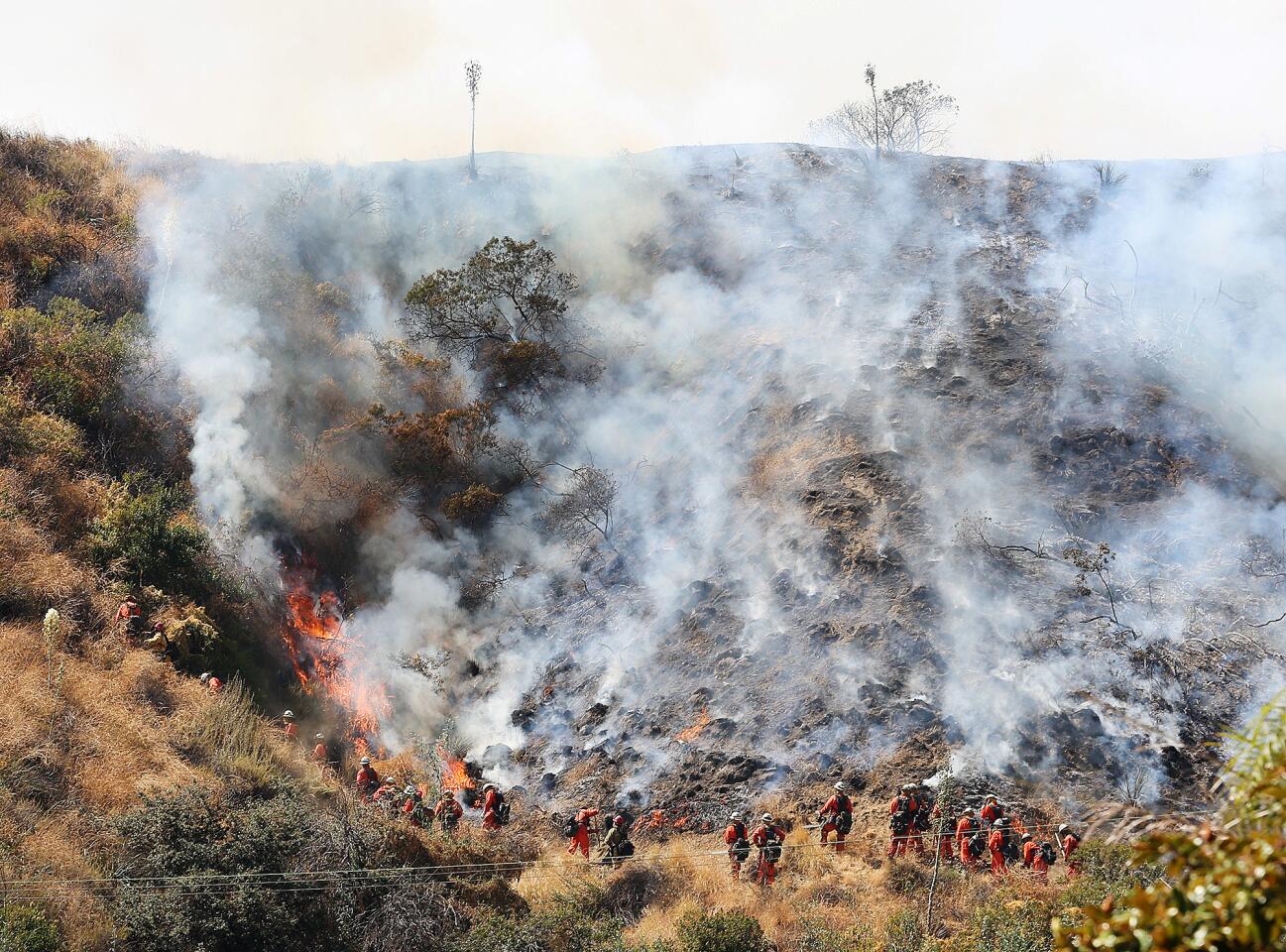 Crews battle Burbank brush fire