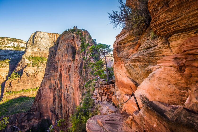 Panoramic view of famous Angels Landing hiking trail lead overlooking scenic Zion Canyon in Utah.