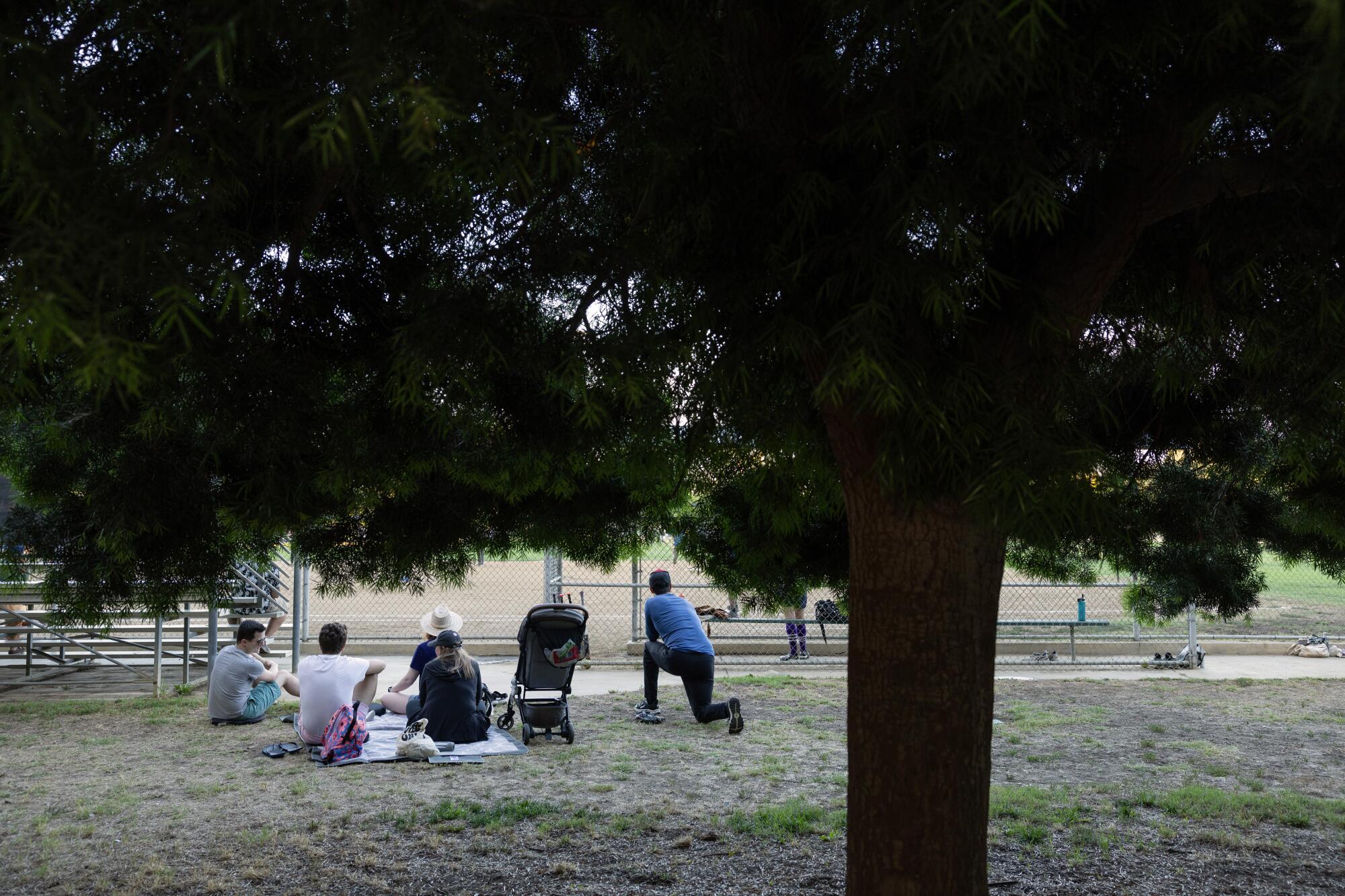 People sit on the ground behind a tree.