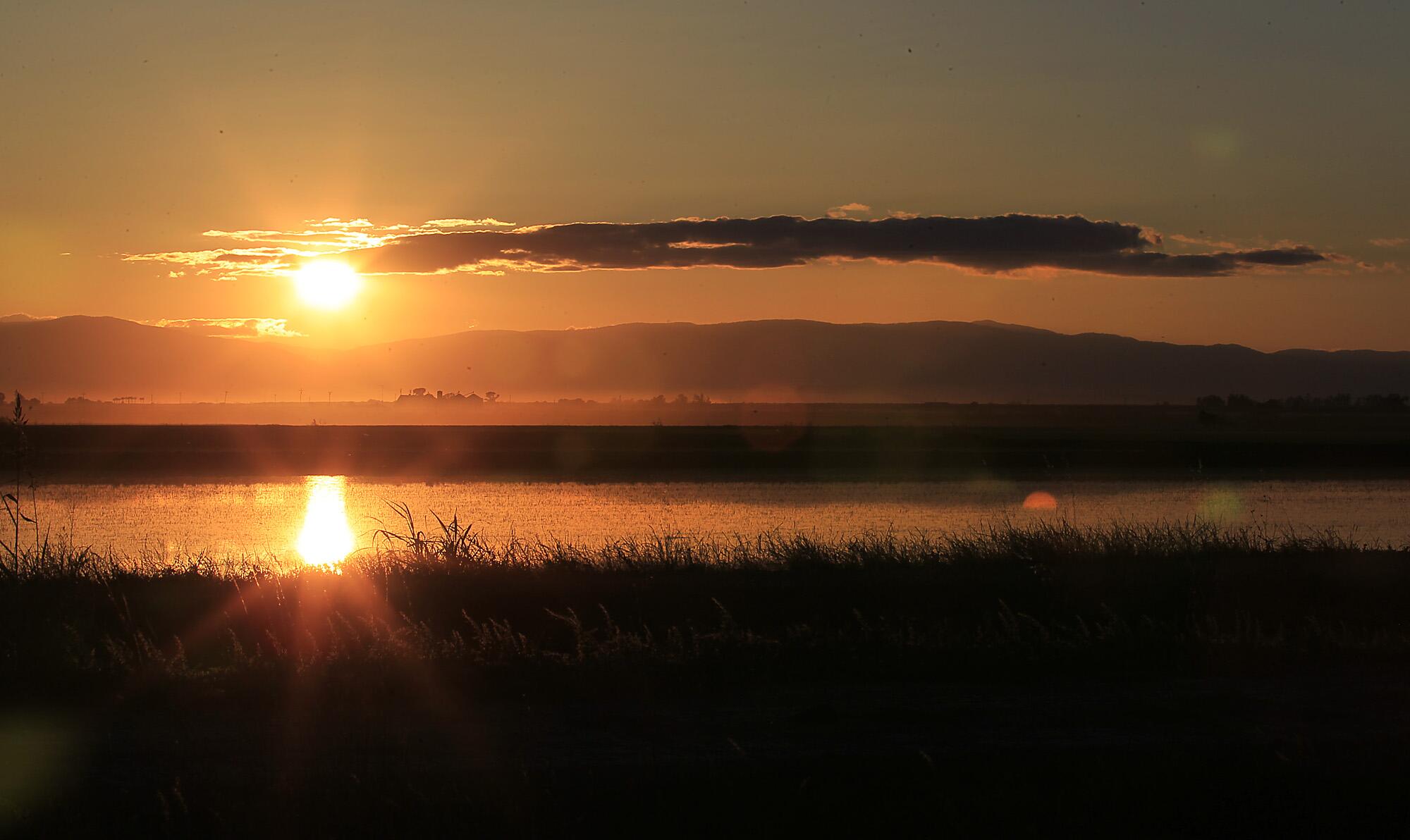 The sun sets over a flooded rice field in the Sacramento Valley.