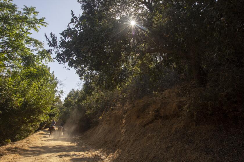 LOS ANGELES, CA SEPTEMBER 2, 2019: Many people are riding horses on this equestrian trail in Griffith Park in Los Angeles, CA September 2, 2019. The trail has some sandy sections, so closed-toe shoes are a good idea. Rattlesnakes have been seen on trails in the area, so be mindful and make sure your dog is on the leash. And as always, slap on the sunscreen and carry plenty of water. (Francine Orr/ Los Angeles Times)