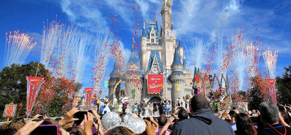 No-fly zones over Disneyland and Walt Disney World have been in place since 2003.