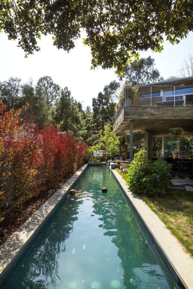 A natural beauty in Rustic Canyon