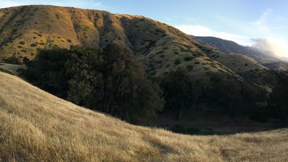 Rolling hills surround Scorpion Canyon on Santa Cruz Island, Channel Islands National Park.