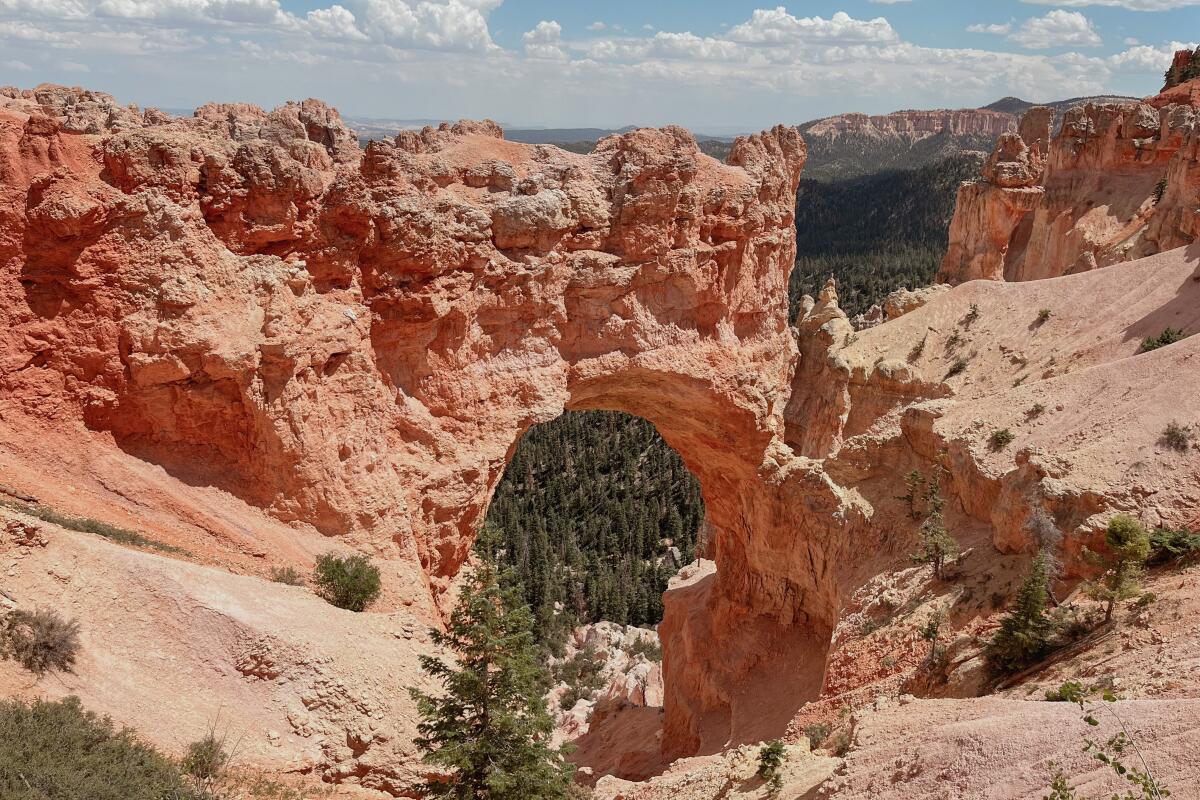 A red rock arch through which is visible tree-covered hills