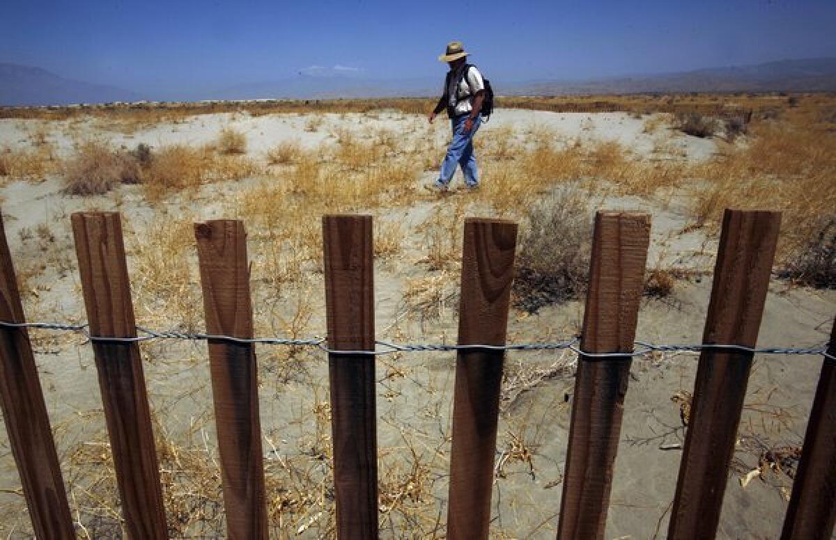 A man walks in the Coachella Valley Preserve in 2009. A 71-year-old hiker missing since Saturday amid record heat was found dead Sunday morning, half a mile east of the visitor's center.
