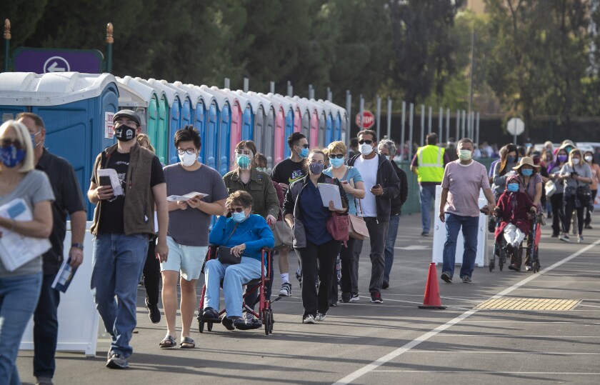People in masks wait in a long line near a row of pastel port-a-potties.