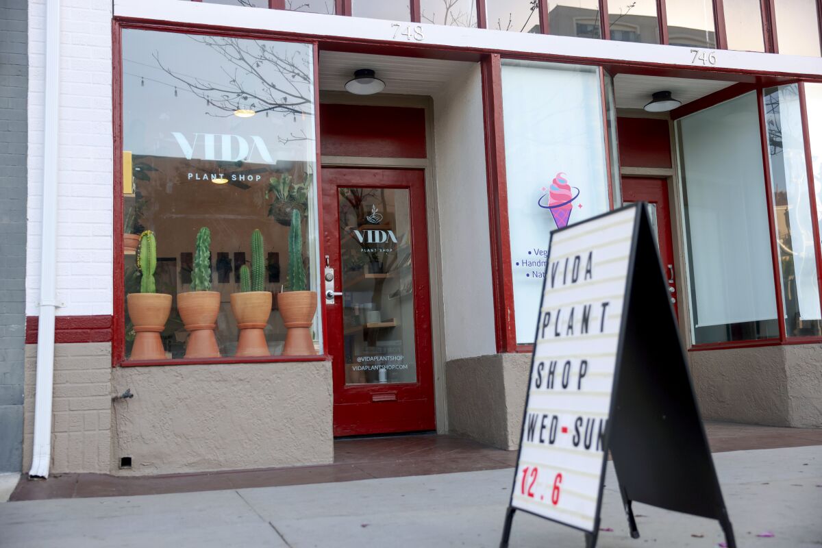 Exterior of Vida Plant Shop