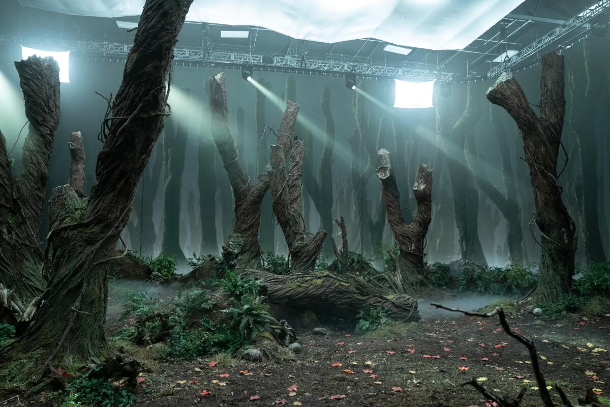Lights and windows illuminate a man-made forest of tree trunks for "Guillermo del Toro's Cabinet of Curiosities."