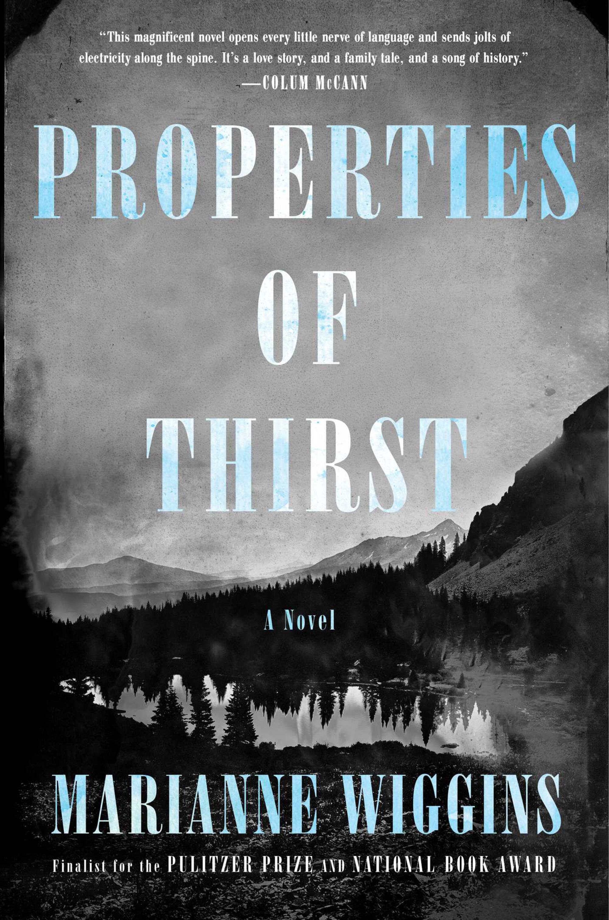 Cover of the book "Properties of Thirst" by Marianne Wiggins