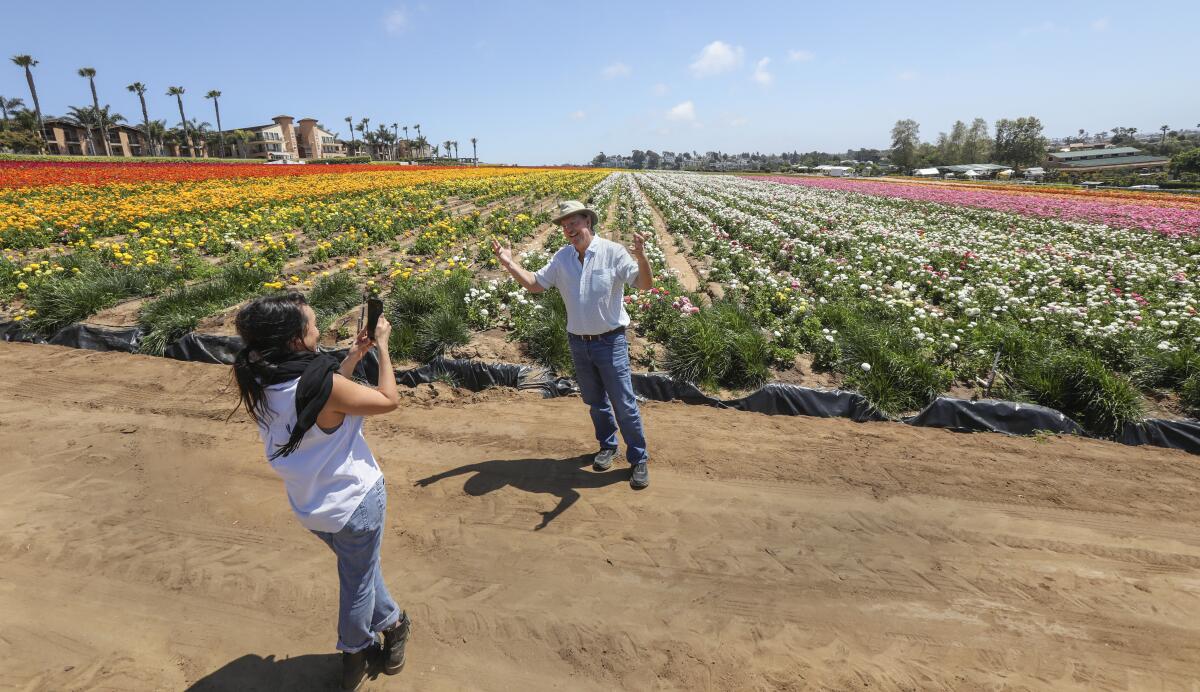 A man is surrounded by red, orange and yellow ranunculus flowers in a field in Carlsbad.