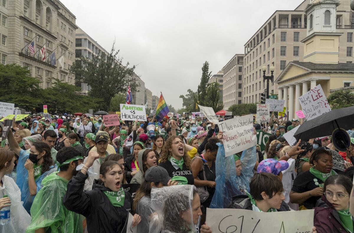 A large crowd with signs favoring abortion rights