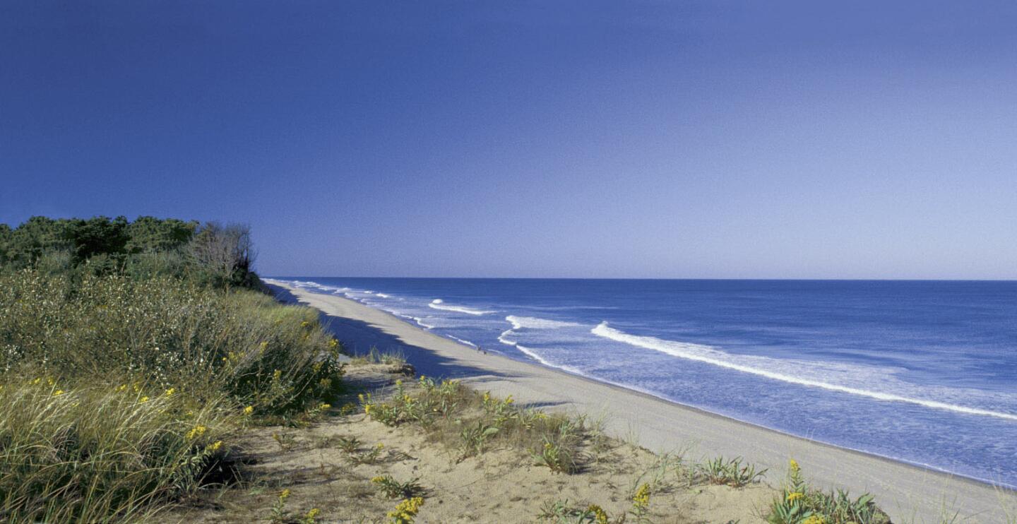 This is Coast Guard Beach in Eastham, Mass. It's part of the Cape Cod National Seashore.