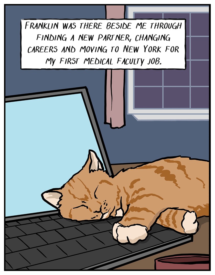 Illustration of a cat asleep on a computer keyboard