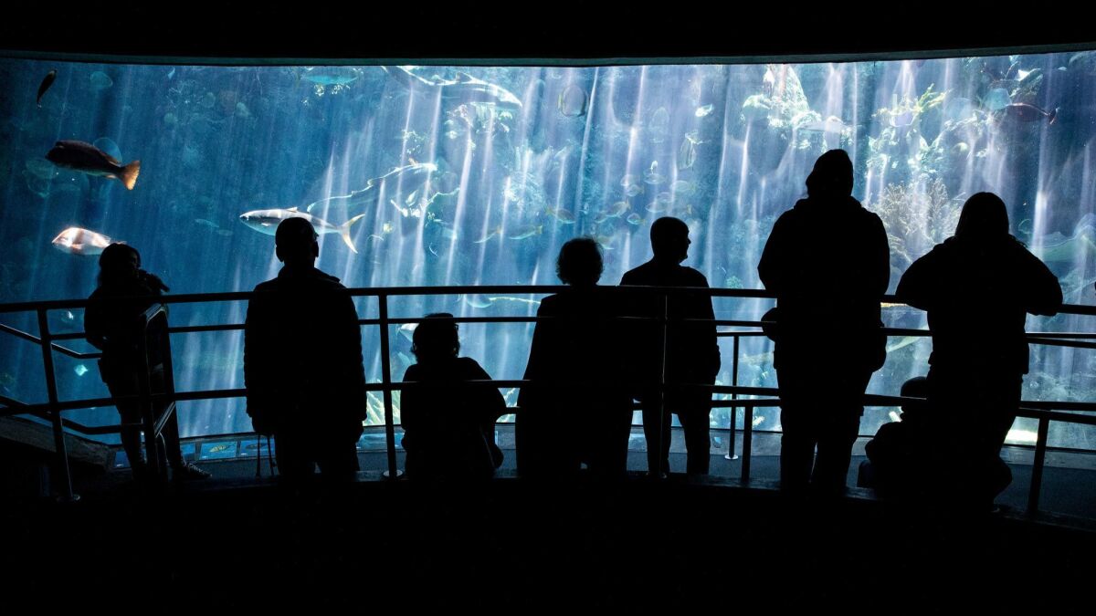 Visitors take in the Pacific Vision wing of the Aquarium of the Pacific in Long Beach in May. Tourism is one of the sectors that drove job growth last month.