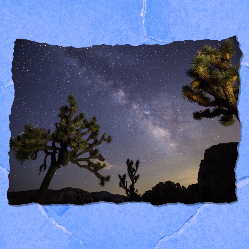 View of the Milky Way that curves over Joshua trees and rocks at a campsite in the park
