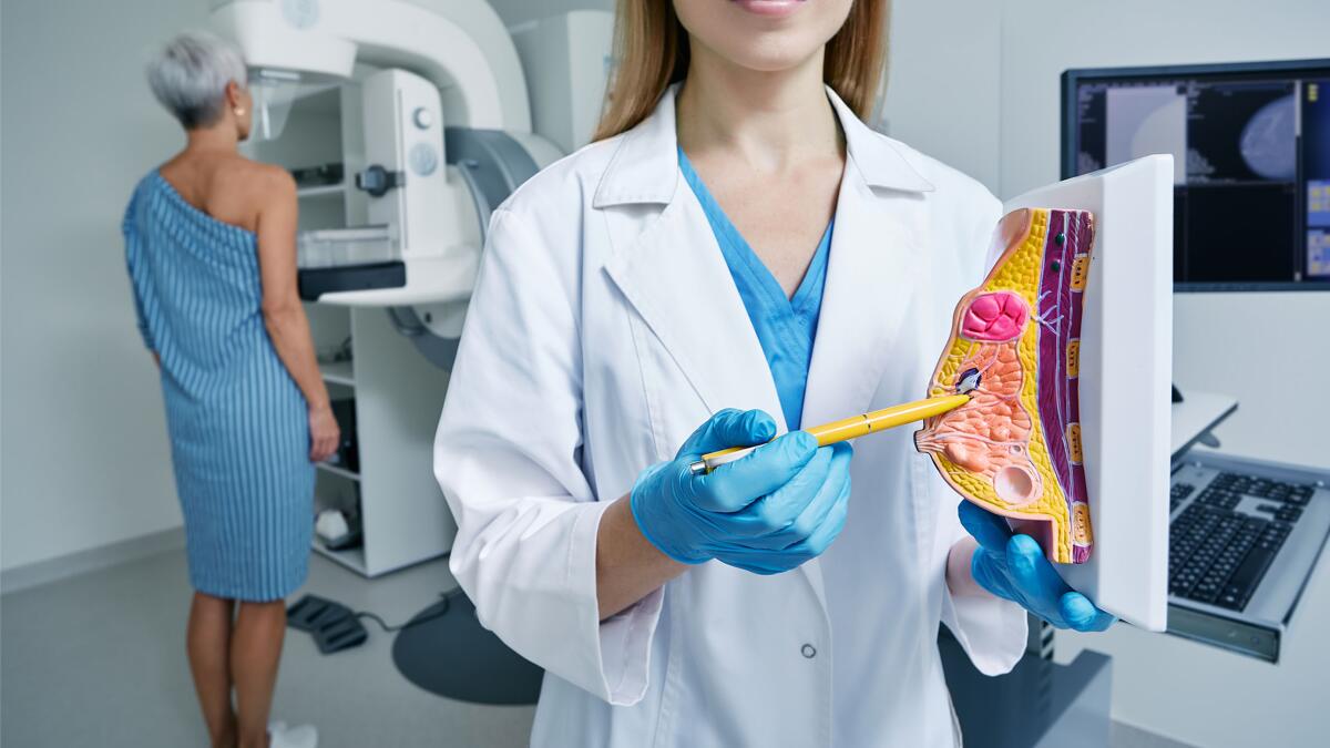 Preventive examination by mammologist using mammograph, during which doctor shows anatomical model of breast with cancer