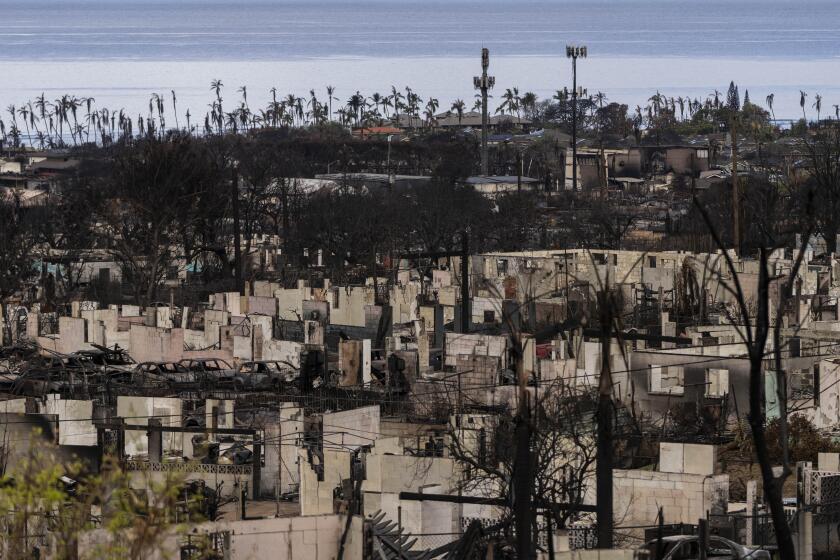FILE - A general view shows the aftermath of a wildfire in Lahaina, Hawaii, Monday, Aug. 21, 2023. The wildfires devastated parts of the Hawaiian island of Maui earlier this month. Maui County is suing major cellular carriers for failing to properly inform police of widespread service outages during the height of last summer's deadly wildfire. (AP Photo/Jae C. Hong, File)