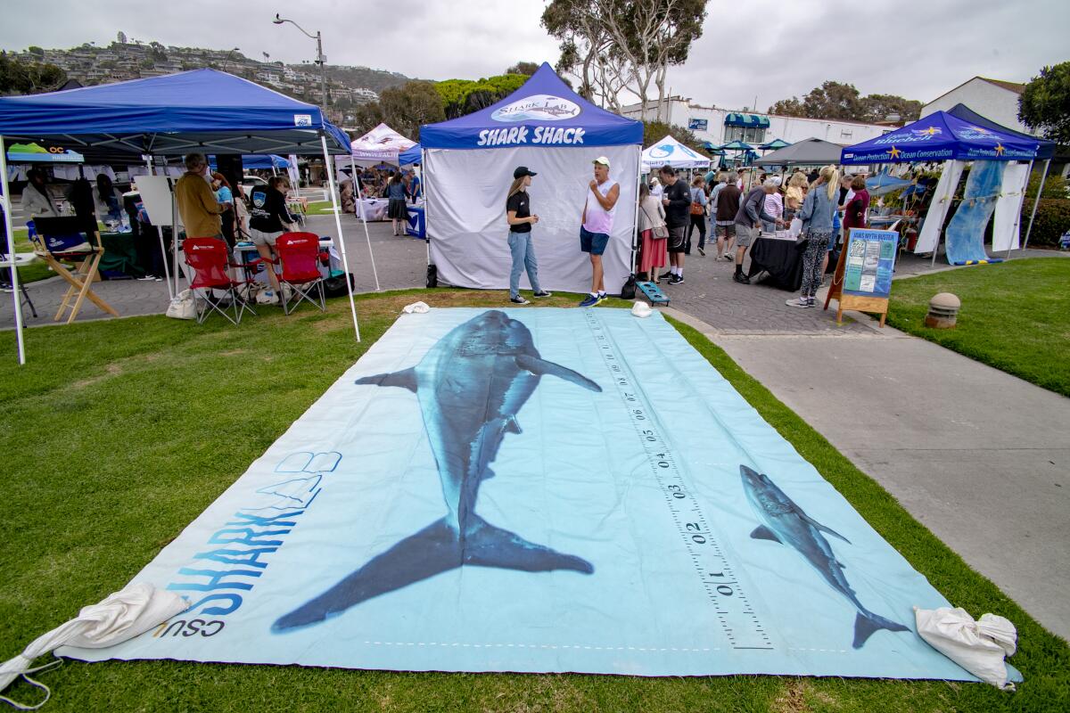 A life-size shark banner decorates the Shark Lab tent.