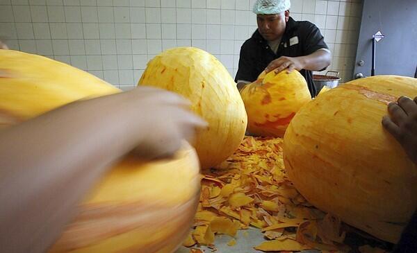 A workman preps large pumpkins to be rendered into traditonal Mexican candies.