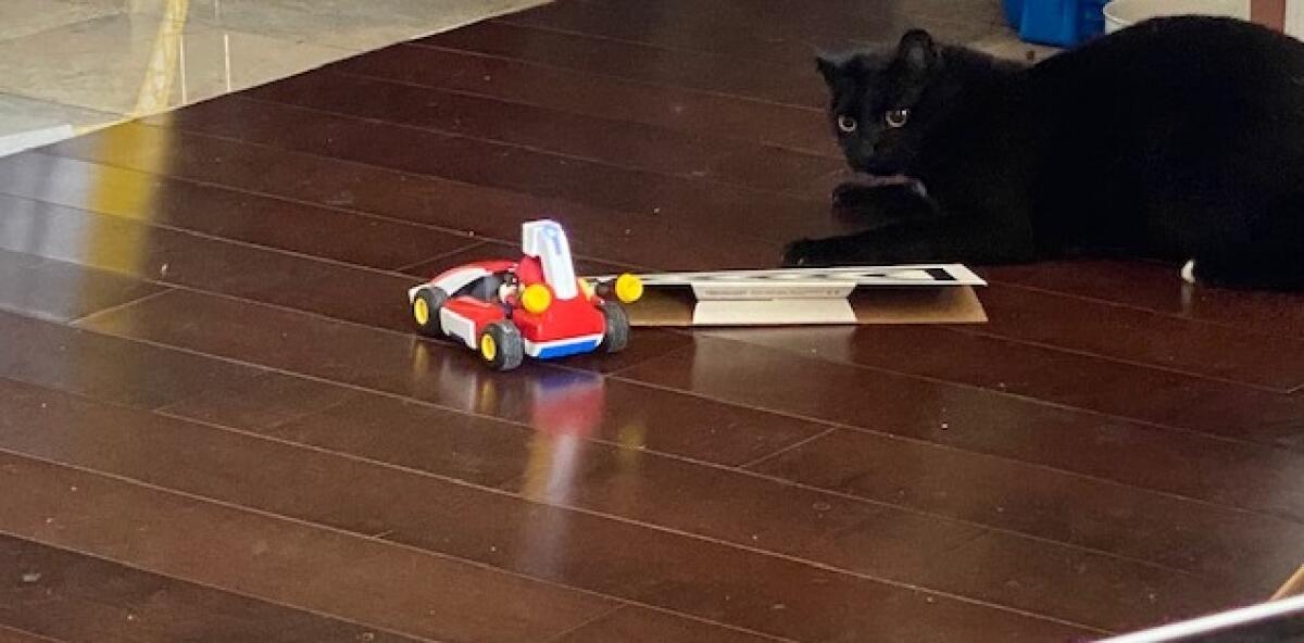 "Mario Kart Live: Home Circuit" is also a killer cat toy.