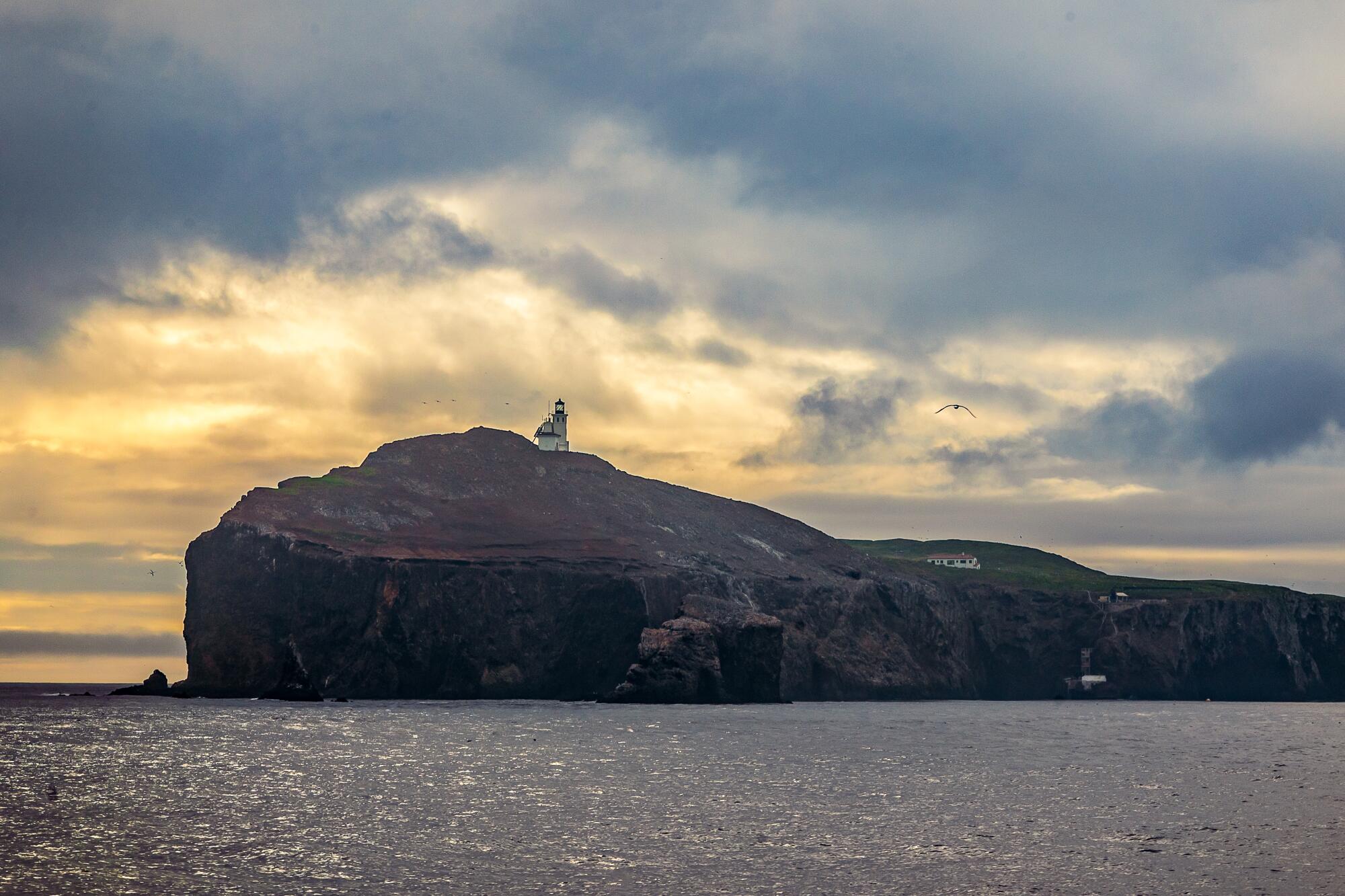 An island at dusk with a lighthouse.