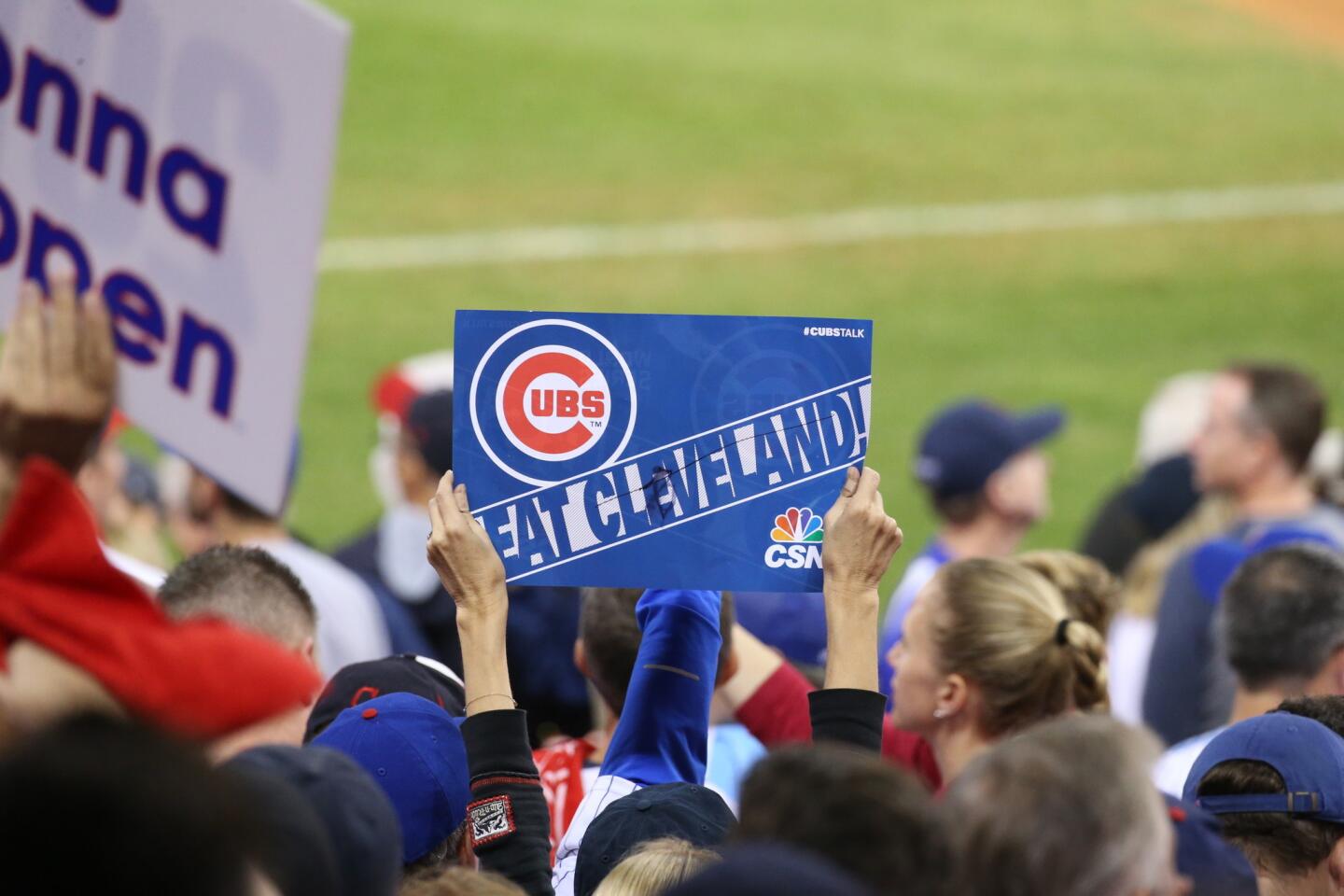 Cubs fans elated after World Series win