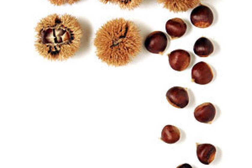 MEATY: During harvest, chestnuts shed their prickly outer skins, revealing a smooth interior.