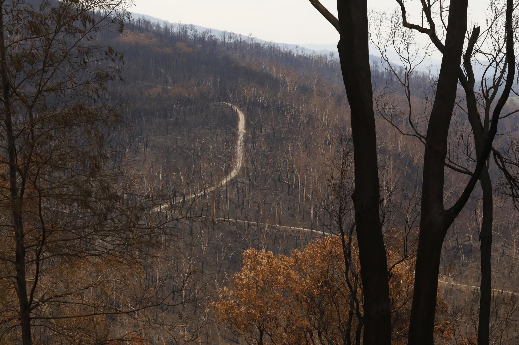 Australia fires