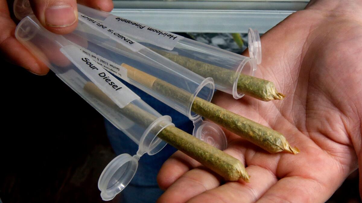 Pre-rolled marijuana cigarettes are displayed at a medical marijuana dispensary near Laytonville, Calif. on Oct. 13.