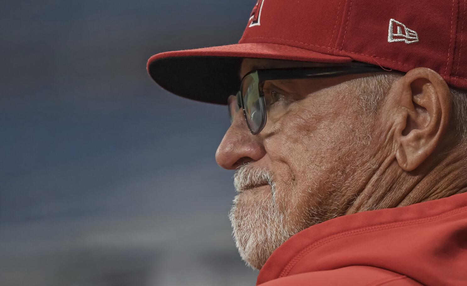 Los Angeles Angels hire Joe Maddon as manager as drug investigation looms  over team