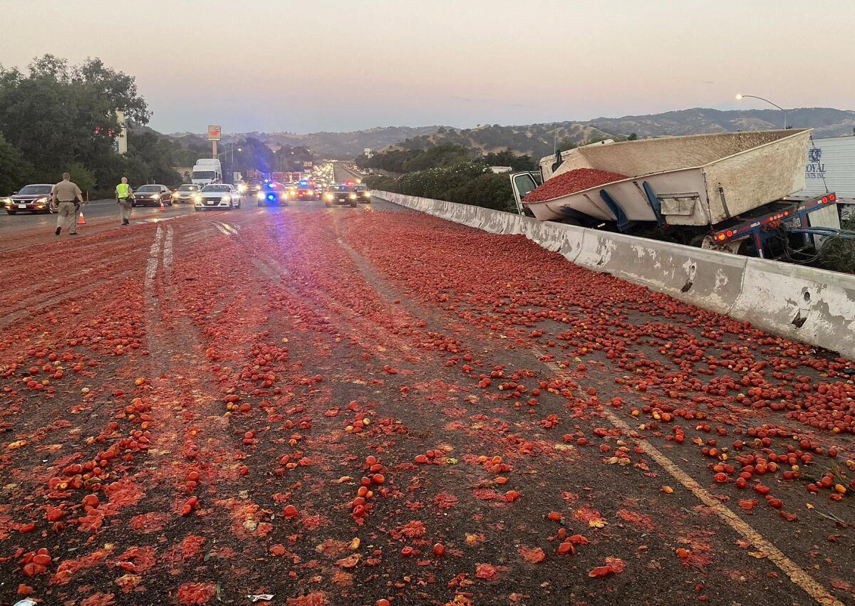 Squished tomatoes on Interstate 80