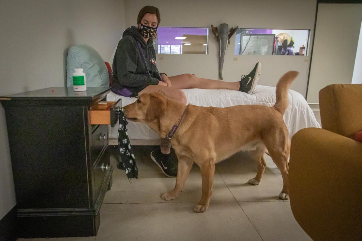 With instructor Marting watching, Drew shows how a service dog can open and close drawers to retrieve medications.