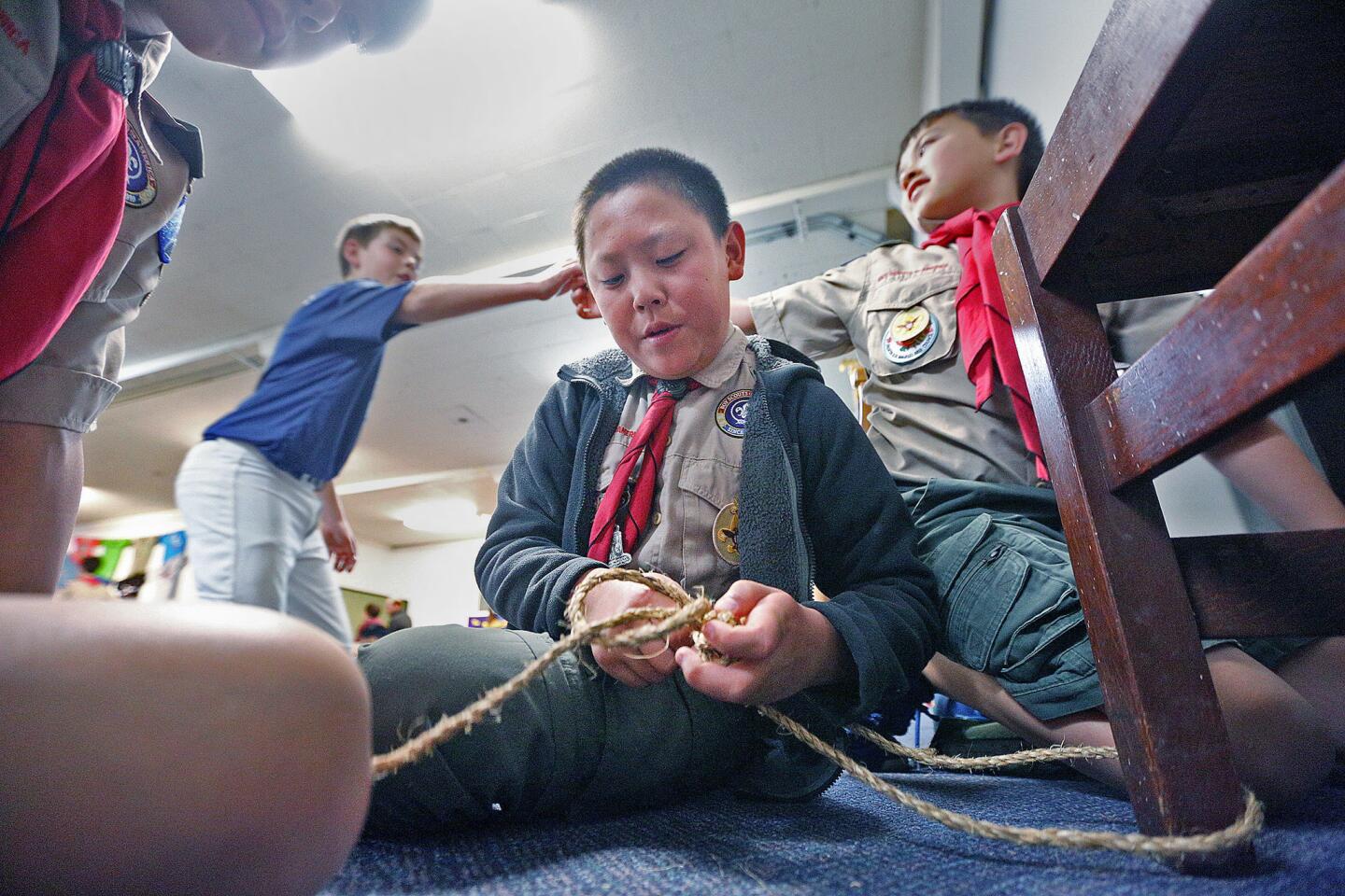 Photo Gallery: La Canada Boy Scout Troop 501 to celebrate centennial