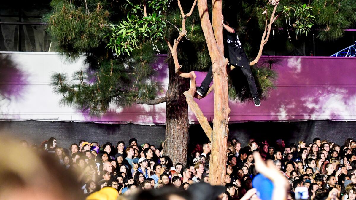 Beach Goth attendees watch the Growlers.