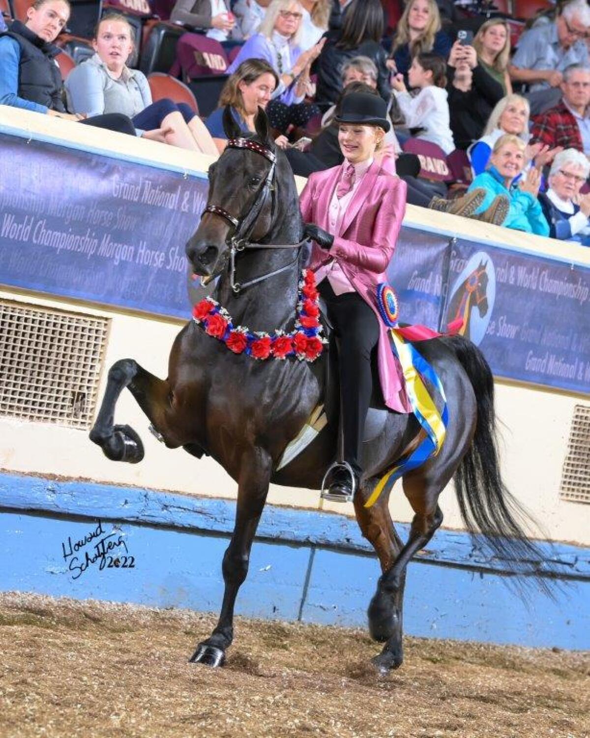 Jordan Canby and Lovey won a title at the 50th Annual Morgan Grand National and World Championship.
