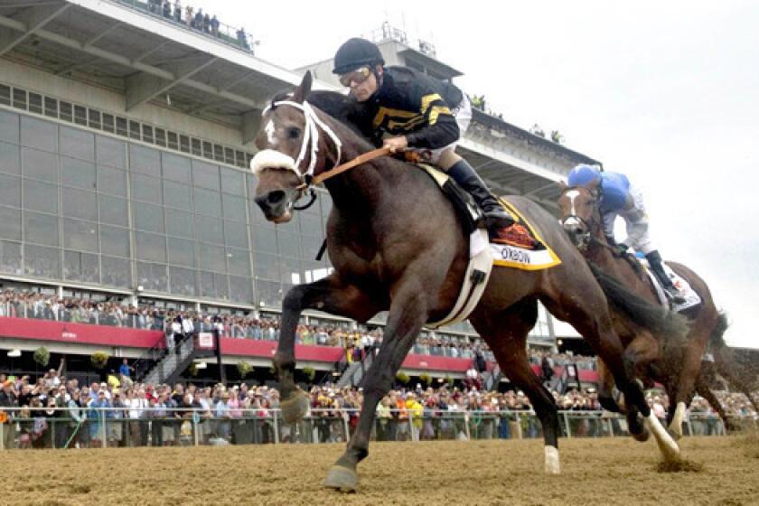 Hall of Fame jockey Gary Stevens rides Oxbow to victory at the Preakness, on Saturday he'll race for the Belmont Stakes.