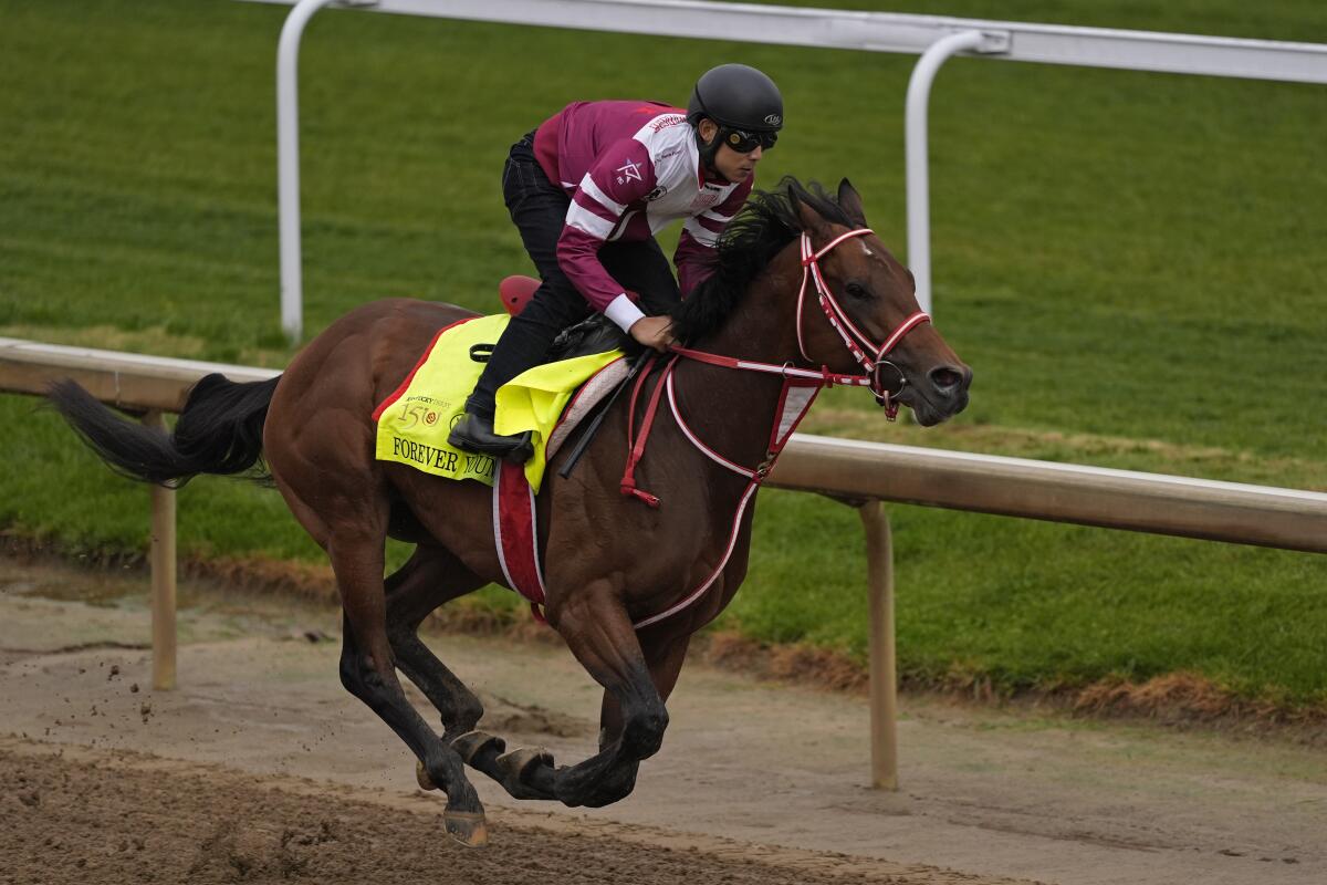 Kentucky Derby hopeful Forever Young works out at Churchill Downs on Tuesdsay.