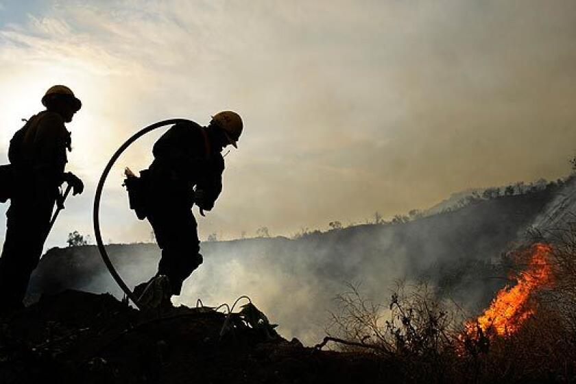 U.S. Forest Service firefighters battle the Station fire along Angeles Crest Highway in La Ca?ada Flintridge.