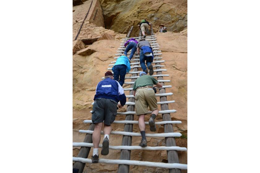 Tourist climb the tall ladder at Balcony House, a cliff dwelling in Colorado's Mesa Verde National Park.